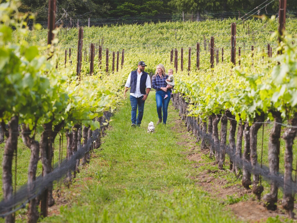 laruewines8 1024x768