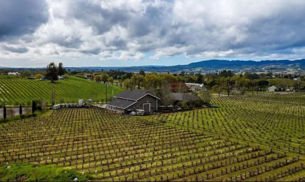 limericklanewines8 1024x612