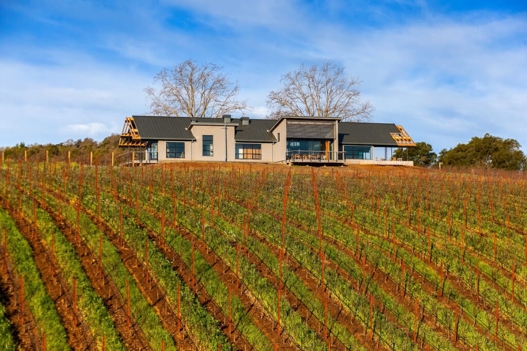 macrostiewinery8 1024x683