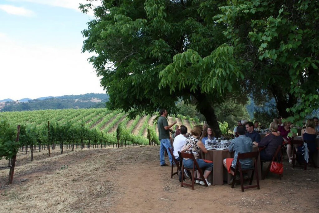 mauritsonwines2 1024x683