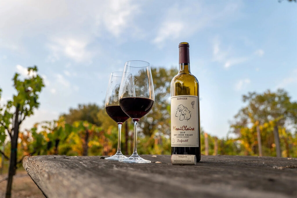 moniclairevineyards1 1024x683