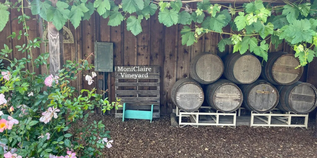moniclairevineyards3 1024x512