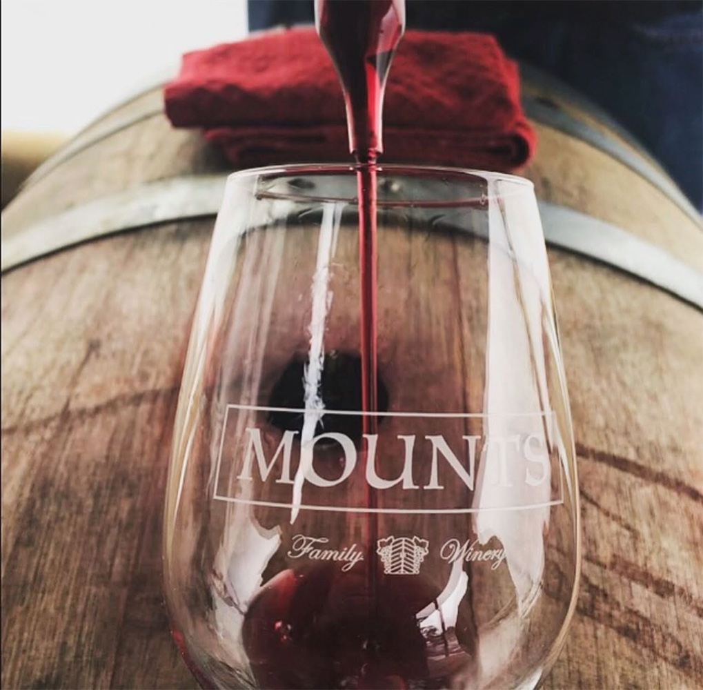 mountswinery4