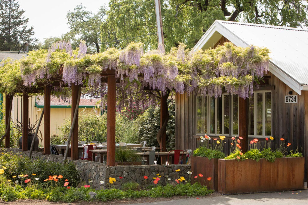 hawkeswine3 1024x683